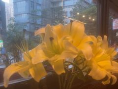 -和牛食堂•BISTRO(广州首店)