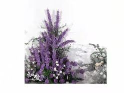 -迎宾一号酒店·宴会厅