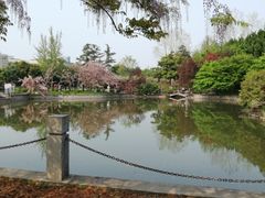 -嘉定紫藤园