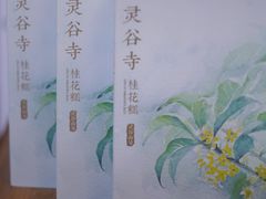 -灵谷景区