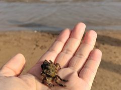 -金梦海湾浴场