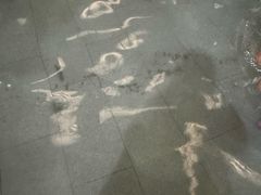 -南宫温泉水世界