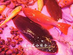 -长平肥姐白粥·海鲜打冷