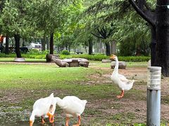 -达活泉公园