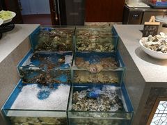 水产区-瑞安辰茂阳光酒店自助餐