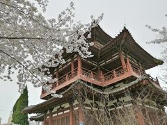 -西安青龙寺遗址景区