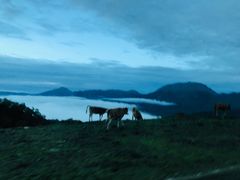 -硗碛藏寨·神木垒景区