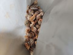 -霞涌市场海鲜摆卖区
