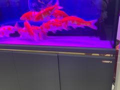 -三旗百汇商品城