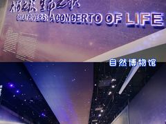 -武汉园博园(武汉自然博物馆)