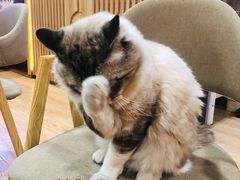 -白兔子密室(长寿路店)