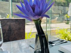 -上海外滩悦榕庄酒店