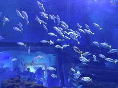 -海合安武汉极地海洋公园