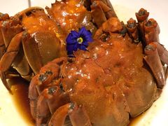 熟醉大闸蟹-玫瑰厅上海菜(兴国路店)