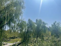 -自然谷恐龙园
