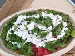 -油梨树AVOCADO TREE(顺义新国展店)