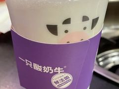 -一只酸奶牛(春熙路店)