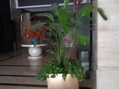 -洛阳宴·洛阳菜(南昌路店)