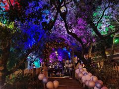 -爵士花园音乐酒吧餐厅