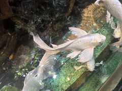 -太平洋海底世界