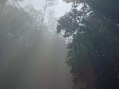 -大雁山风景区
