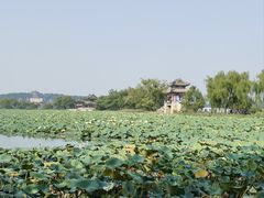 -颐和园