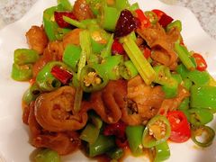 干煸肥肠-文三里屯面馆(三里屯店)