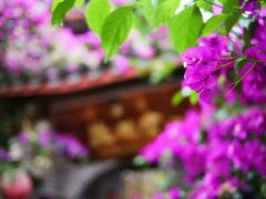 -丽江花间堂·隐泉院