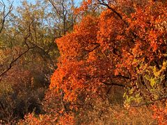 -北京西山国家森林公园
