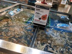 -盒马X会员店(王府井奥莱UP TOWN店)