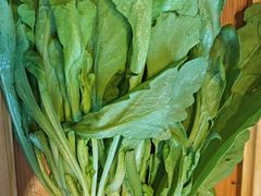 -蝎王府羊蝎子(西直门店)