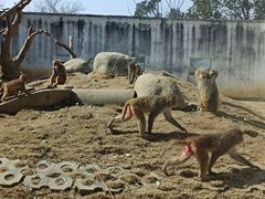 -武汉紫薇都市田园