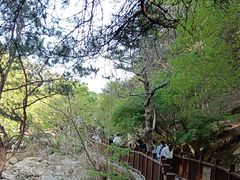 -崂山巨峰游览区