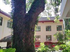 -普陀山雷迪森庄园