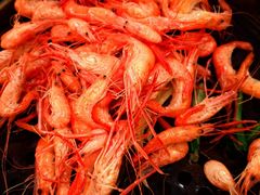 -阿斯牛牛·凉山菜(新会展店)