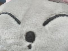 -汤姆熊欢乐世界(光启城店)