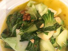 -杨氏青龙虾·羊蝎子(珠江路店)