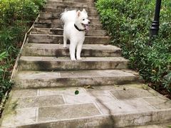 -龙头寺公园
