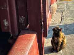 -西园戒幢律寺
