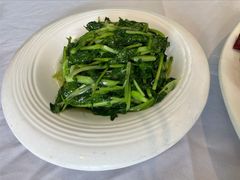 清炒鸡毛菜-峨嵋酒家(德内店)