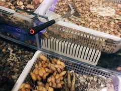 -盒马鲜生(悠方店)