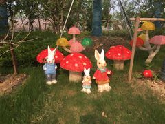 -苏州乐园森林水世界