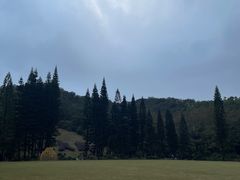 -深圳仙湖植物园