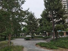 -台场海滨公园船码头
