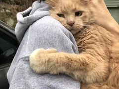 -蟹之国·精品蟹料理(极地店)