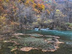 -叠溪松坪沟景区