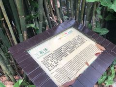 -呀诺达热带雨林