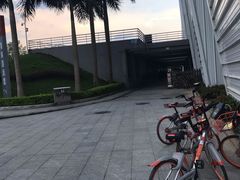 -奥林匹克体育中心游泳馆