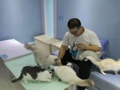 -喵的天空名猫咖啡馆·撸猫·猫舍·用品