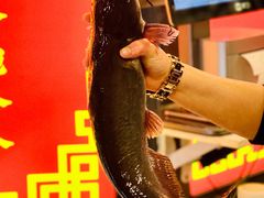 -江湖水乡铁锅炖魚(周庄嘉园店)